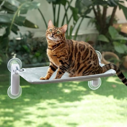 GUUSII HOME Hamaca Gato Ventana Plegable Cama Colgante con Ventosa para Gatos Grande Soporte Camita para Gatitos de Interior con Alfombra Reversible Cat Window Perch Bed 54 * 30cm (Gris, M)