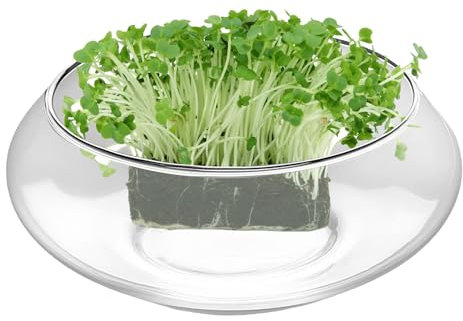 Pecera De Vidrio - Macetero Grande para Suculentas | Cuenco Transparente Y Ancho para Flores De Interior, Centro De Mesa para Bodas Y Hogar