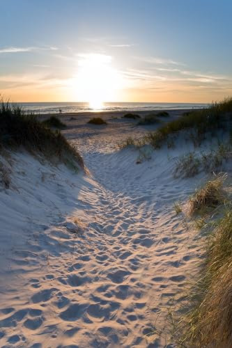 adrium Holz-Bild 40 x 60 cm: Ostsee-Strand im Abendlicht. (105339747)