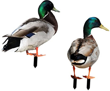 BCOATH 2stücke Gartenstecker Dekoration Lifelike Acryl Tierfiguren Für Außenbereich Wetterfeste Gartenornamente Für Lebendige Terrassen Und Gärten