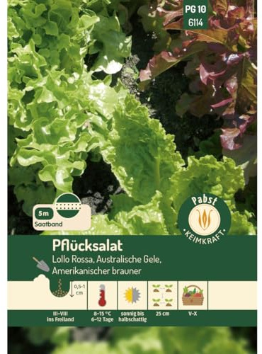 Pabst Keimkraft - Pflücksalatkombination Saatband 5 m Lollo rossa Australische Gele Amerikanischer Brauner Samen - 176114