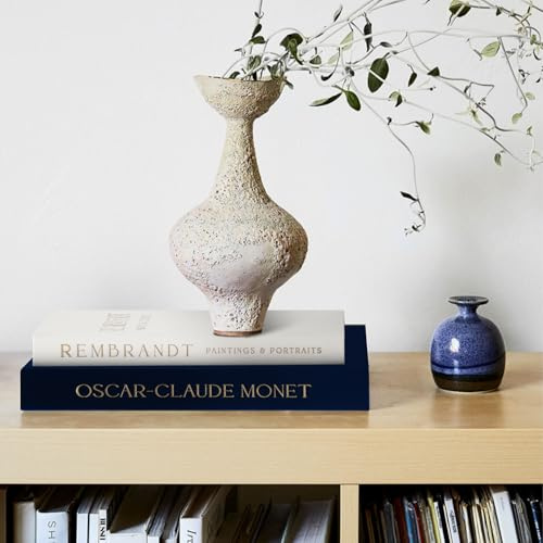 2 Stück Dekorative Buch Aufbewahrungsbox, Deko Bücher für Heimdekor Table Book Aufbewahrung Dekorative Bücher für Heimdekor, 2 Größen Dekobücher Set, fur Kaffeetisch, Büro, Bücherregal Display