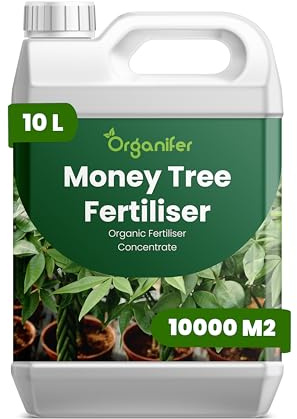 Fertilizzante liquido organico 10L per albero dei soldi – vitalità e crescita duratura – Organifer