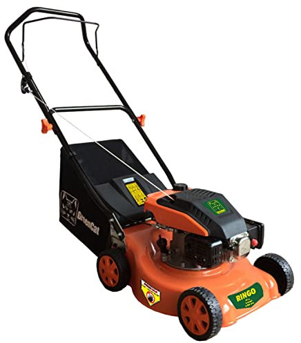 Briconess.com Tosaerba a Scoppio 99cc Taglio 40 cm Altezza Regolabile Green Cat Ringo