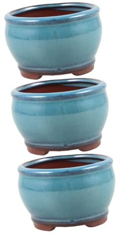 Sosoport 3 Piezas Planta Suculenta En Maceta De Espárragos Titular De La Planta De Casa Maceta De Escritorio para Suculentas De Cactus Pequeña De Bonsai Arcilla Morada