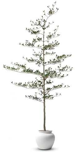 Everleaf 7.2 ft Tall Faux Black Olive Tree, Shady Lady – Artificial Indoor Tree with Bendable Branches for Modern Home, Living Room, and Interior Decor Style