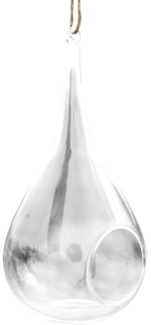 DRESSOOS Terrario Colgante Transparente con Gancho para Colgar, Jarrón Fácil de Usar para Embellecer el Hogar