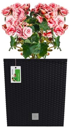 PAFEN Blumentopf RATTO Rattan-Optik Low Kunststoff Topf Blumenkübel inkl. Einsatz Übertopf anthrazit 40x40cm