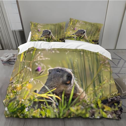 Bettwäsche 220x240 Biber Bettwäsche-Set zum Wenden Atmungsaktive Angenehme mit Reißverschluss Bettwäsche + Kissenbezug 80x80 cm für Jungen und Mädchen