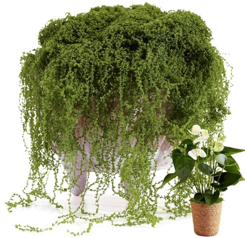 300 g di muschio artificiale realistico, muschio artificiale per artigianato, per terrari e vasi di piante grasse, casa, parete, Natale, matrimonio