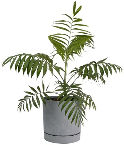 B2C Plant Pots Indoor Outdoor Plastic Marble Concrete Flowerpot Small Medium Large Tubo 5 Colours (40 cm, Concrete)