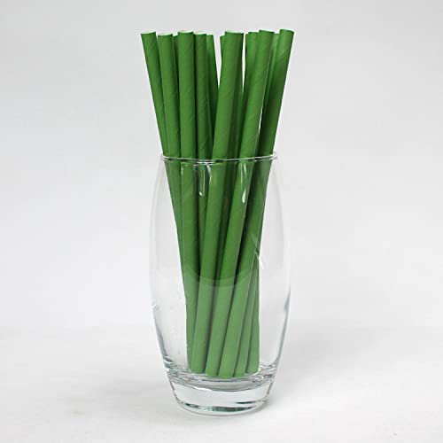 Green Paper Straws (8mm x 200mm) - Pack Size 250 - FSC Certified/Food Safe/PFAS Free/Biodegradable/Eco-Friendly/Durable/Ideal for Milkshakes & Smoothies