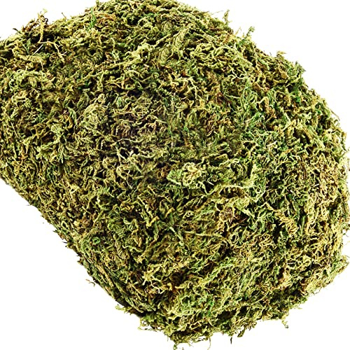 Cigoby 35 OZ Fake Moss for Potted Plants Artificial Moss for Fake Plants Faux Moss for Planters Decorative Moss for Craft and Home Decor…