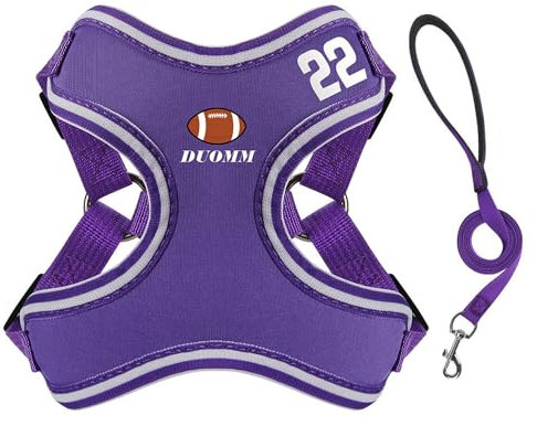Hundegeschirr, kein Ziehen, verstellbar, sportlicher Stil, Hundegeschirr mit Leine, D-Ring für Welpen, kleine Hunde, Größe XXS, Violett