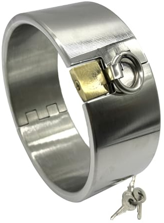 Soarvlorfy Metall Halsbänder Edelstahl 4 Größen Abschließbar Fetisch Halsband Unisex Bondage Slave Collar O-Ring SM Extrem Rollenspiel Kragen Erotik Sexspielzeuge für Frauen & Männer,Silber,Ø 13.6cm