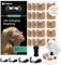 Bodytecni® Tiras Nasales Magnéticas Premium PRO EDITION | MEGAPACK 60 PARCHES MEJORADOS + ESTUCHE DE ALMACENAMIENTO | Antironquidos para Dormir Mejor, Ayuda a Respirar Mejor, Incrementa la Oxigenación