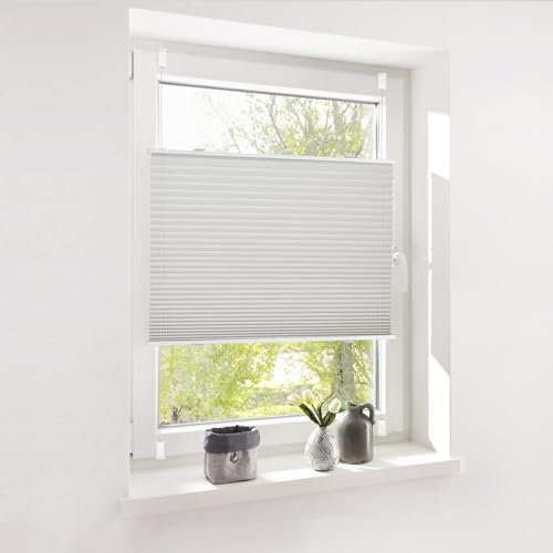 Deswell Plissee ohne Bohren Klemmfix Grau B65 x H200 cm Plisseerollo Sonnenschutz und Sichtschutz Jalousien Easyfix Plissees Lichtdurchlässig Rollo für Fenster & Tür
