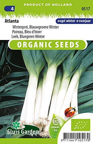 Leek, Bluegreen Winter Atlanta Vegetable Seeds per gram - 0,6 g - Seeds per gram: +/-210
