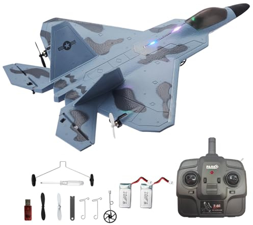 Park10 Toys RC Plane F22 Raptor Model 4CH 3D/6G RC Airplane for Adults and Beginners 2.4Ghz RC Jet with LED Light Ready to Fly Outdoor Remote Control Airplane with 2 Batteries