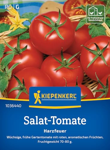 Kiepenkerl Salat-Tomatensamen Harzfeuer 1036440, Gemüsesaat | Aromatisch, frühe Gartentomate, für Freiland, Gewächshaus & Topf