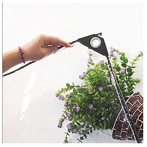 VagxTbs Telone Spesso Trasparente Impermeabile su Due Lati Telone in PVC Durevole Usato per Giardino, Tetto, Magazzino Telo Copertura Antivento per Piante da Balcone, 0,5 Mm, 21 Specifiche(3x3m)