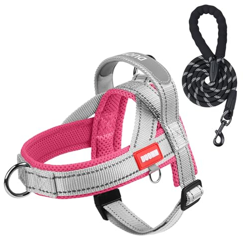 LiebeDD Hundegeschirr mit Leine für Mittelgroße Kleine Hunde Welpen, Bunt Farbblock Geschirr, Mesh Gepolstert Brustgeschirr Hund mit Griff und Brustring, Reflektierend & Leicht, GrauRosa, L