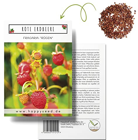 Erdbeeren Samen (Fragaria) - Nährstoffreiche Erdbeer Samen ideal für die Anzucht im Garten, Balkon oder Terrasse