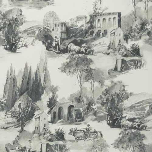** Sample Clarke and Clarke Charcoal Toile De Jouy Wallpaper (53x53)