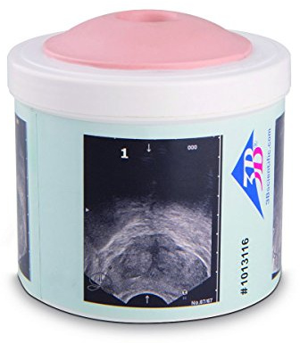 3B Scientific P58/1 prostata-modell med 4 stadier