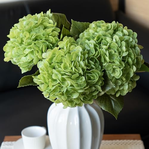 DUYONE 3PCS 56 cm Realistische künstliche Hortensie Große Real Touch Blumen Künstliche Blumen Trockene Blumen Hochzeit Weihnachten Büro Familie Party Wohnzimmer Tischdekoration (Grün)