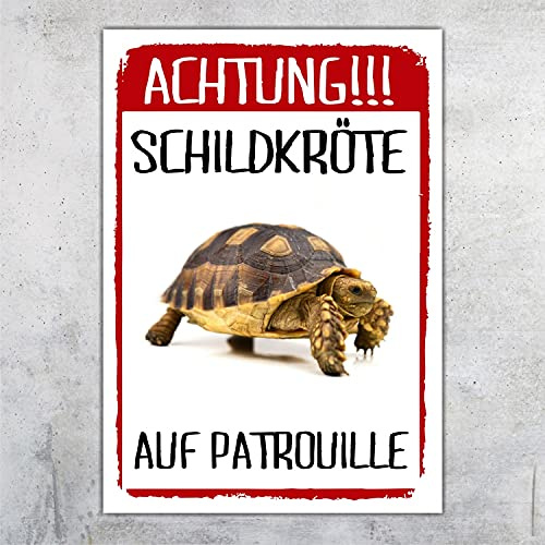 Achtung Schildkröte auf Patrouille Schild lustig mit Spruch Türschild Warnschild Fun Metallschild