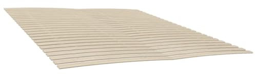 HEFZGDB Lattenroste mit 48 Latten 2 STK. 90x200 cm Bette Gästebett Bed Frame Einzelbetten für Wohnbereich Gästezimmer Schlafzimmer Herberge