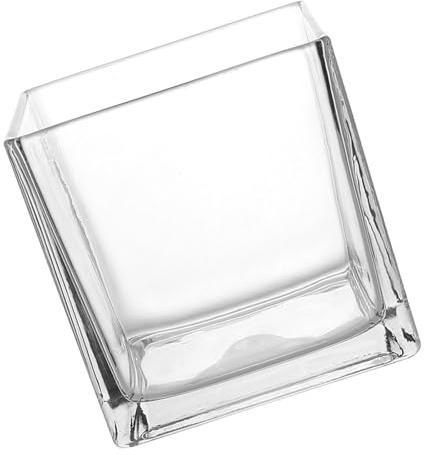 Vaso Quadrato in Vetro Spesso, Vaso da Fiori Cubico Trasparente | Design Semplice e Moderno, Esposizione per Coltivazione in Acqua, per Tavolo di Sala da Pranzo e Ufficio