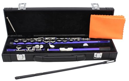 Professionelle Querflöte mit Tasche, Reinigungstuch, Stick, 16 Löcher, C-Ton, geschlossenes Loch, Flöte, Holzblasinstrument, C-Ton, geschlossenes Loch, Flöte
