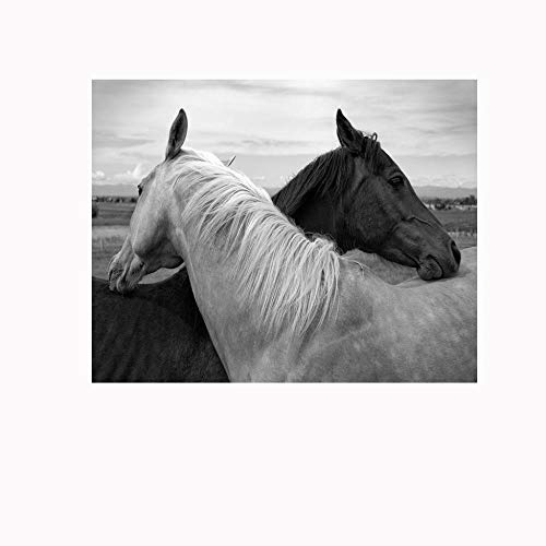 Fotomurales Autoadhesivo caballo 200x140cm Decoración de Pared decorativos Murales moderna de Papel Pintado Sala Living Oficina Dormitorio
