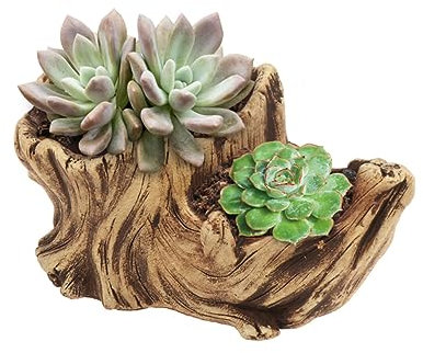 BESPORTBLE Zementbecken Blumentopf Kreativ Mit Doppelfächern Stumpfbecken Pflanzentopf Sukkulententopf Gelb Für Heimdekoration Landschaftsbedarf Zeichen