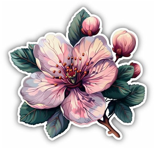 Samunshi® Kirschblüte als Autoaufkleber Blumen für Motorrad Fahrrad Roller oder Auto Sticker Blumen Fahrrad Mtb Mountainbike Rennrad Pflanzen Aufkleber selbstklebend 10x10cm