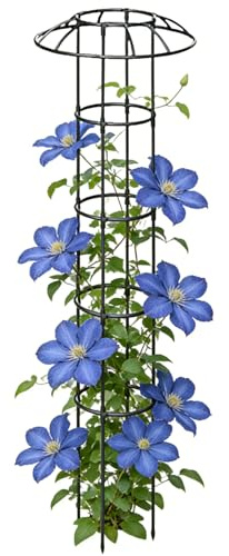 Trellis Support décoratif vertical pour plantes grimpantes, structure avec couronne en forme de champignon pour roses clématites, concombres, hortensias, jasmin et pothos