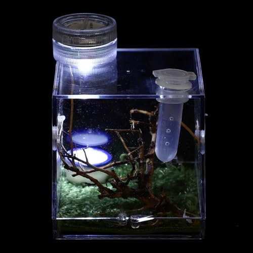 Springspinne-Gehege – Vogelspinnen-Gehege Mit Lampe, Acryl-Reptilien-Terrarien, Spinnen-Terrarien-Zuchtbox,L