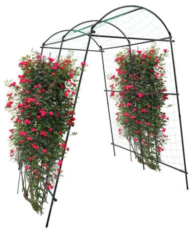 Arche de jardin en treillis métallique - Décoration et décoration - Résistant aux intempéries - 3,77 x 6,00 x 7,55 m
