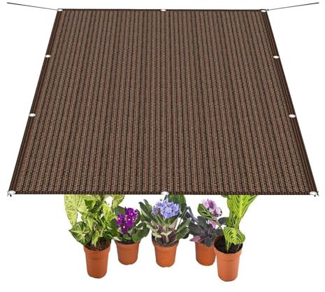 Tenda da Sole per Esterno 150 x 170 cm Tessuto HDPE Idrorepellente e Antivento Telo Telone Ombreggiante per Esterno con Corda per Serra, Giardino e Balcone, Marrone