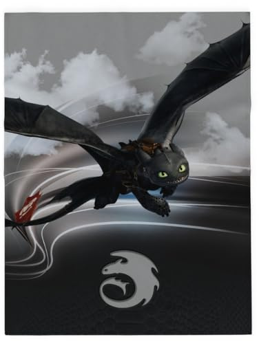 FRANCO How to Train Your Dragon Tandlösa barnsängkläder supermjuk plysch mysig överkast, 117 cm x 152 cm, (officiellt licensierad produkt)