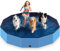 Lozzzyo Piscina Perros Grandes y Pequeños de PVC Antideslizante, Plegable y Portátil Piscina para Perros, Fácil de Limpiar Perro Piscina para (160 * 30cm)