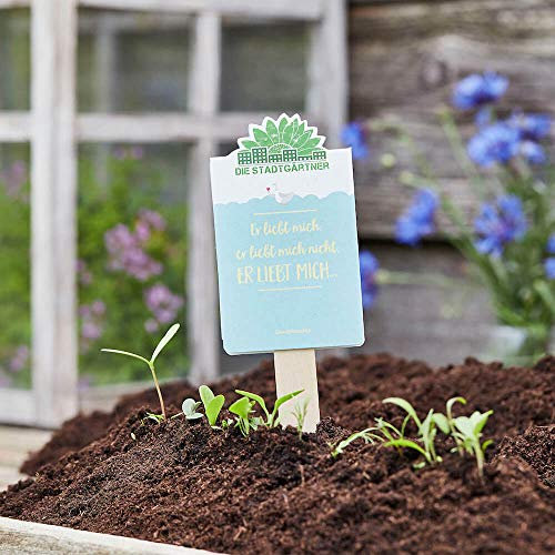 Die Stadtgärtner Saatgruß - Er liebt mich, er liebt mich nicht - Kleines Geschenk mit Gänseblümchen-Samen - Aufmerksamkeit, Dankeschön, Gruß, Mitbringsel, Gastgeschenk