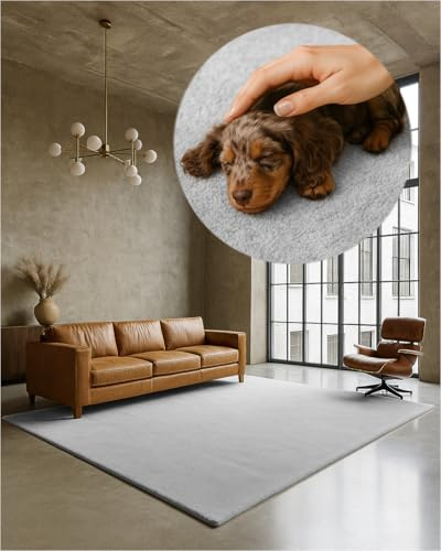 TEXMAXX Weicher Kurzflor Teppich Wohnzimmer mit rutschhemmender Rückseite (100 x 200 cm) - Modern für Flur, Esszimmer und als Schlafzimmer Teppich in Hell-Grau-Silber - Waschbar bis 30 Grad
