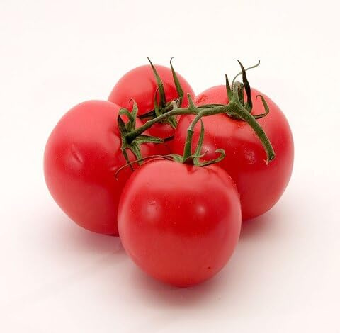 Fresh 100pcs Red Tomato Vegetable Seeds