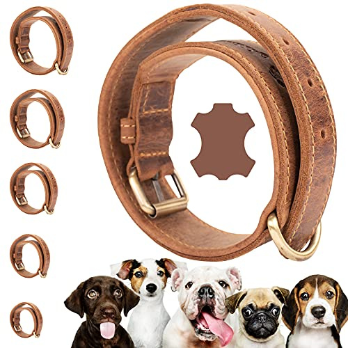 Darcis Hundehalsband Braun - Extrem Robustes Lederhalsband aus hochwertigem Rindsleder - Ideal für Starke Hunde - Halsband Hund - Hundehalsband Leder - Lederhalsband Hund - 50-57,5 cm Halsumfang
