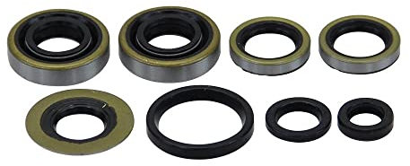 Wellendichtring Satz Motor kompatibel mit Sachs 50/3 50/4 Pedalstart Motor (17mm KW)