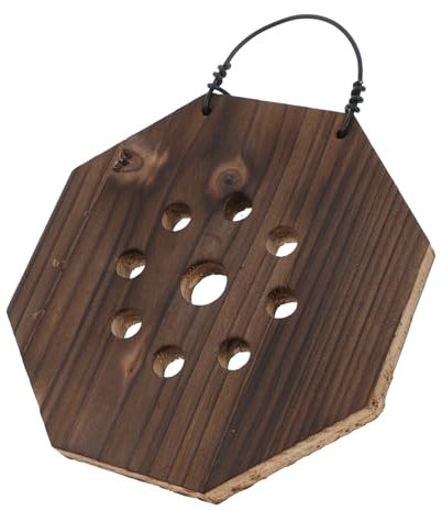 COOPHYA Planche De Montage Bois pour Fougères Pot De Fleurs Suspendu pour Jardin Vertical Orchidées Et Plantes Grimpantes Installation Facile pour Intérieur Et Extérieur