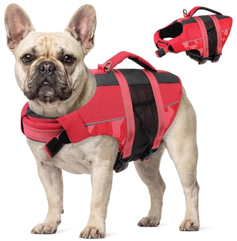 CITÉTOILE Chalecos Aalvavidas para Perros, Flotador Ajustable para Mascotas con Asa, Traje de Baño de Seguridad para el Agua para Navegar en la Piscina de la Playa, Rojo, M